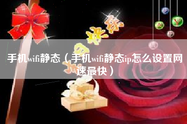 手机wifi静态（手机wifi静态ip怎么设置网速最快）