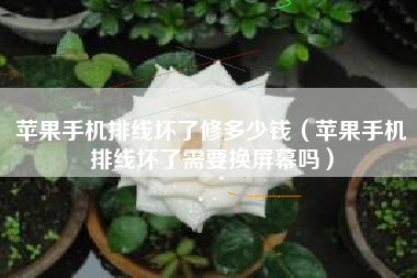 苹果手机排线坏了修多少钱（苹果手机排线坏了需要换屏幕吗）