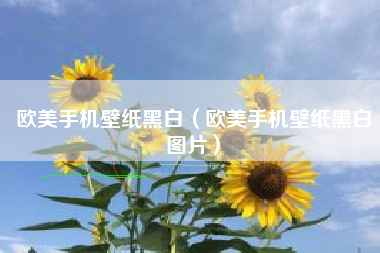 欧美手机壁纸黑白（欧美手机壁纸黑白图片）