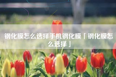 钢化膜怎么选择手机钢化膜「钢化膜怎么选择」