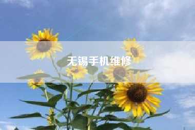 无锡手机维修