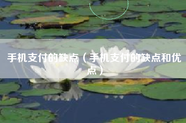 手机支付的缺点（手机支付的缺点和优点）