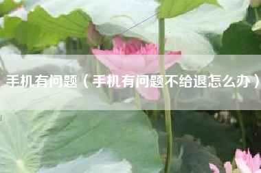 手机有问题（手机有问题不给退怎么办）