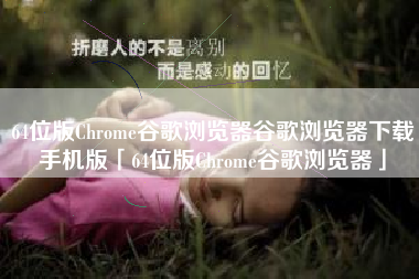 64位版Chrome谷歌浏览器谷歌浏览器下载手机版「64位版Chrome谷歌浏览器」