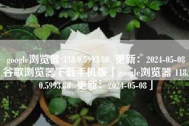 google浏览器 118.0.5993.80  更新：2024-05-08谷歌浏览器下载手机版「google浏览器 118.0.5993.80  更新：2024-05-08」