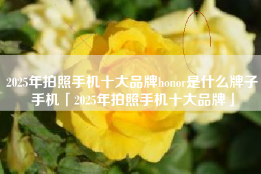 2025年拍照手机十大品牌honor是什么牌子手机「2025年拍照手机十大品牌」