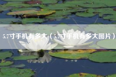5.7寸手机有多大（5.7寸手机有多大图片）