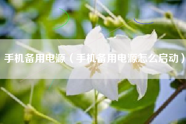手机备用电源（手机备用电源怎么启动）