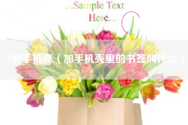 1加手机壳（加手机壳里的书签叫什么）