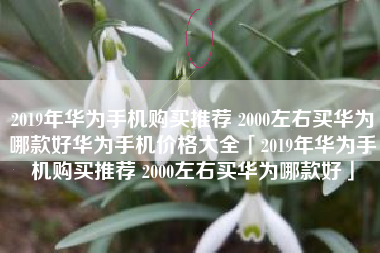 2019年华为手机购买推荐 2000左右买华为哪款好华为手机价格大全「2019年华为手机购买推荐 2000左右买华为哪款好」