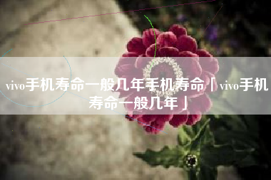 vivo手机寿命一般几年手机寿命「vivo手机寿命一般几年」