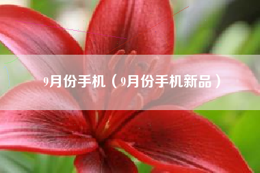 9月份手机（9月份手机新品）