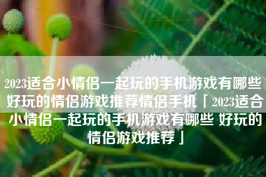 2023适合小情侣一起玩的手机游戏有哪些 好玩的情侣游戏推荐情侣手机「2023适合小情侣一起玩的手机游戏有哪些 好玩的情侣游戏推荐」