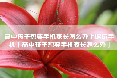 高中孩子想要手机家长怎么办上课玩手机「高中孩子想要手机家长怎么办」