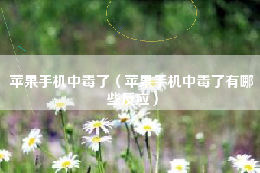 苹果手机中毒了（苹果手机中毒了有哪些反应）