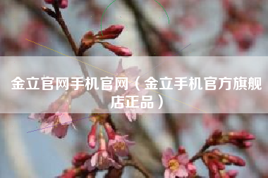 金立官网手机官网（金立手机官方旗舰店正品）
