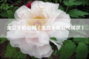 金立手机公司（金立手机公司现状）