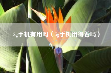 5g手机有用吗（5g手机用得着吗）