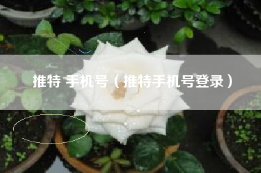 推特 手机号（推特手机号登录）