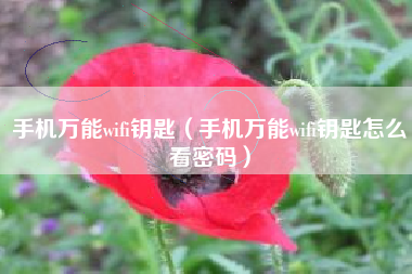 手机万能wifi钥匙（手机万能wifi钥匙怎么看密码）