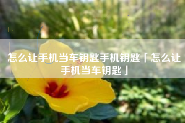 怎么让手机当车钥匙手机钥匙「怎么让手机当车钥匙」 怎么让手机当车钥匙手机钥匙「怎么让手机当车钥匙」