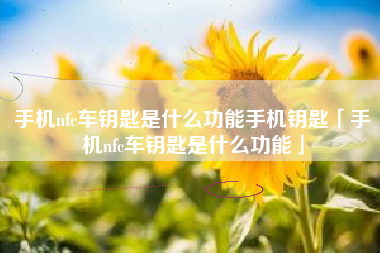 手机nfc车钥匙是什么功能手机钥匙「手机nfc车钥匙是什么功能」