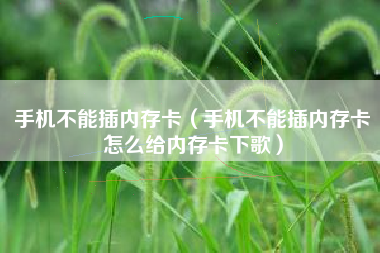手机不能插内存卡（手机不能插内存卡怎么给内存卡下歌）