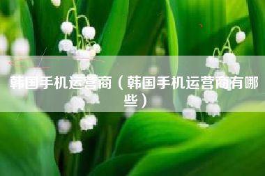 韩国手机运营商（韩国手机运营商有哪些）