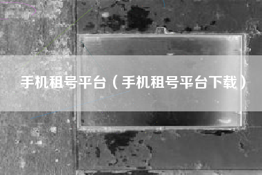 手机租号平台（手机租号平台下载）
