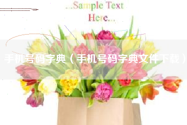 手机号码字典（手机号码字典文件下载）