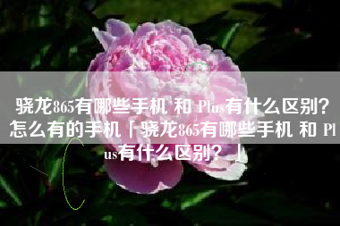 骁龙865有哪些手机 和 Plus有什么区别？怎么有的手机「骁龙865有哪些手机 和 Plus有什么区别？」