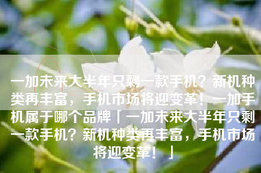 一加未来大半年只剩一款手机？新机种类再丰富，手机市场将迎变革！一加手机属于哪个品牌「一加未来大半年只剩一款手机？新机种类再丰富，手机市场将迎变革！」