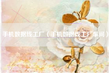 手机数据线工厂（手机数据线工厂车间）