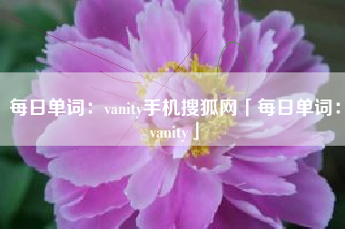 每日单词：vanity手机搜狐网「每日单词：vanity」
