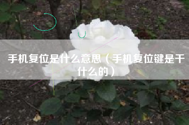 手机复位是什么意思（手机复位键是干什么的）