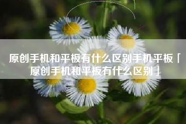 原创手机和平板有什么区别手机平板「原创手机和平板有什么区别」