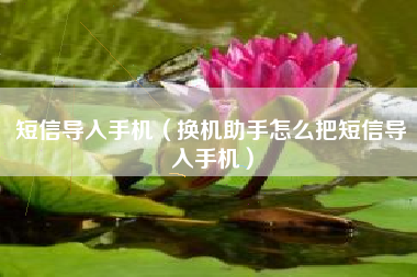 短信导入手机（换机助手怎么把短信导入手机）