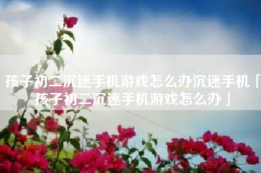 孩子初二沉迷手机游戏怎么办沉迷手机「孩子初二沉迷手机游戏怎么办」