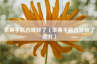 苹果手机内屏碎了（苹果手机内屏碎了图片）