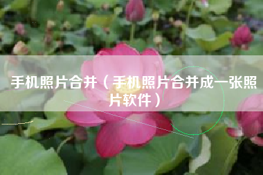 手机照片合并（手机照片合并成一张照片软件）
