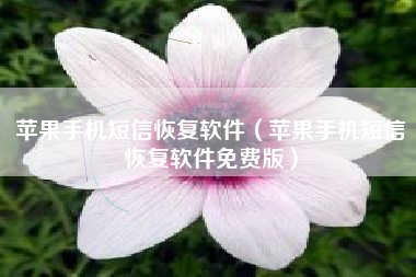 苹果手机短信恢复软件（苹果手机短信恢复软件免费版）