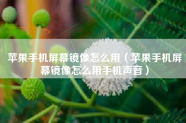 苹果手机屏幕镜像怎么用（苹果手机屏幕镜像怎么用手机声音）