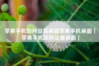 苹果手机如何设置桌面苹果手机桌面「苹果手机如何设置桌面」