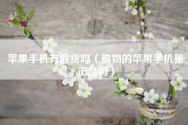 苹果手机有假货吗（得物的苹果手机是正品吗）