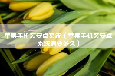苹果手机装安卓系统（苹果手机装安卓系统需要多久）