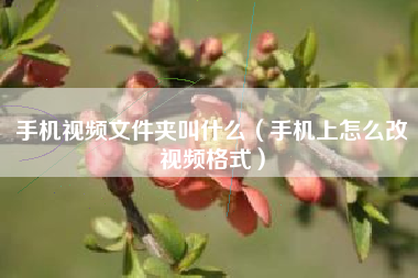 手机视频文件夹叫什么（手机上怎么改视频格式）