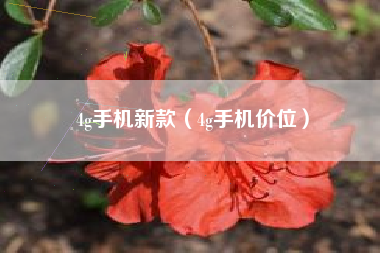 4g手机新款（4g手机价位）