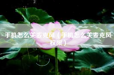 手机怎么关麦克风（手机怎么关麦克风权限）