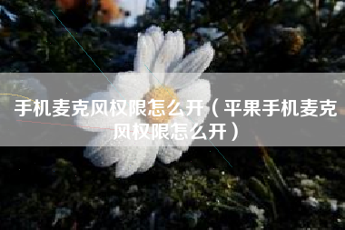 手机麦克风权限怎么开（平果手机麦克风权限怎么开）