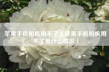 苹果手机相机用不了（苹果手机相机用不了是什么情况）